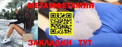 прущие грибы Обнинск