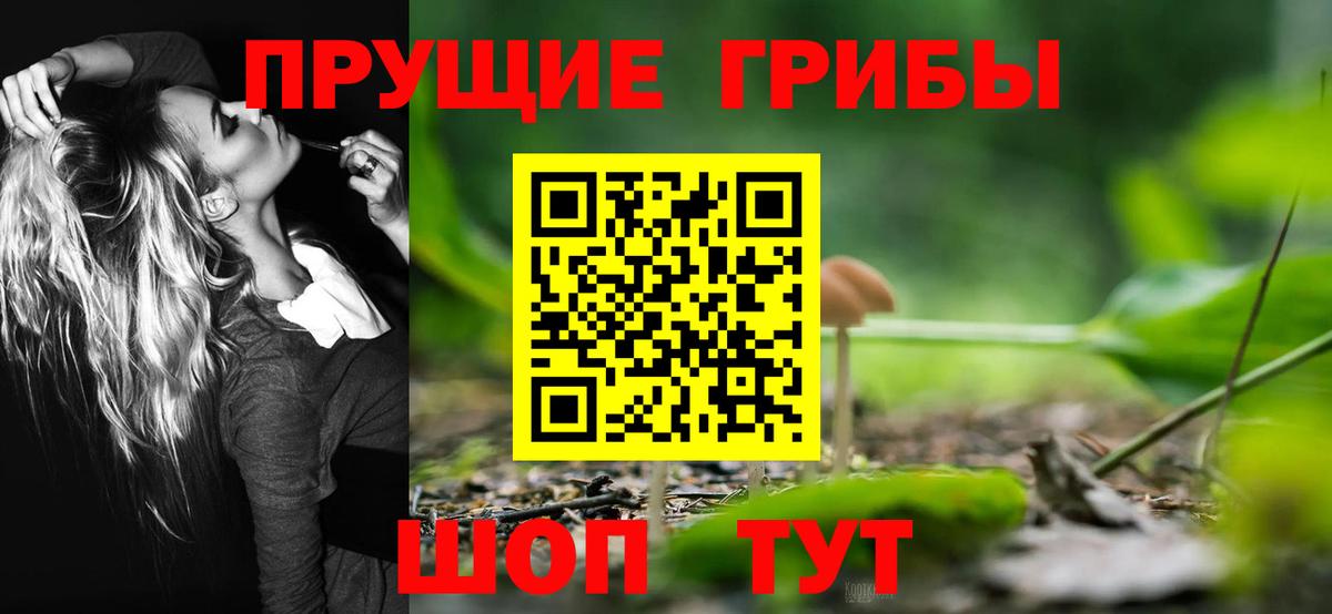 Галлюциногенные грибы Magic Shrooms Саранск