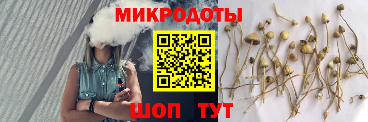 Галлюциногенные грибы Magic Shrooms  Вход с VPN  Саранск 